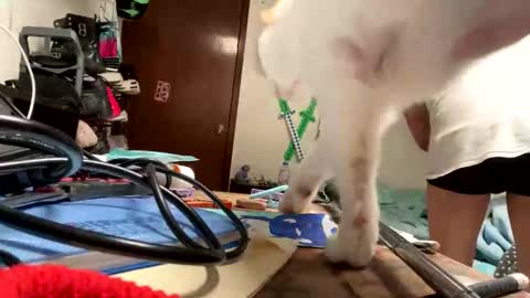 Manu O online show from 11-09-25, 08:07