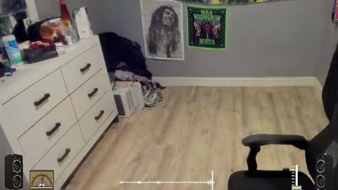 Plant Base Streamers From Pennsylvania online show from 10-17-25, 11:29