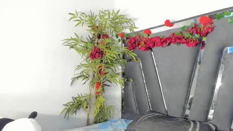 B L A C K  R O S E  online show from 03-12-25, 02:56