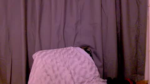 Snapshot of black_sswan chatting on 02-20-26, 03:01 Kristin online show from 02-20-26, 03:01