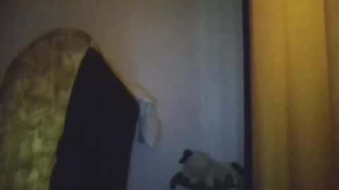 black african online show from 11-20-25, 05:29