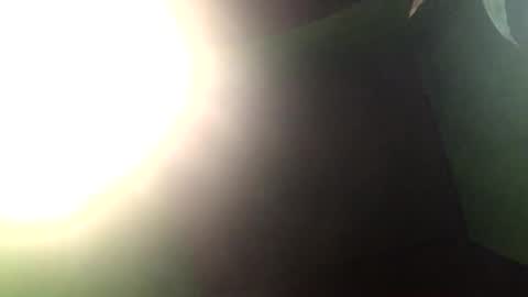 Crystal online show from 12-27-24, 01:50