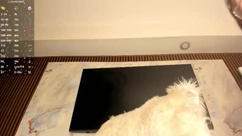 Karina online show from 02-20-26, 06:26