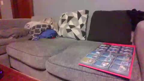 blaw_1321 online show from 02-27-26, 09:31