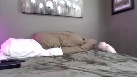 blazeentertainment2025 online show from 02-21-26, 06:09