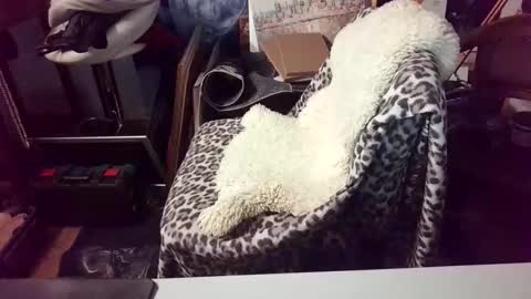 blindsurfer780299 online show from 03-15-26, 05:13