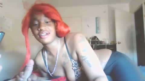 blknoranged33 online show from 04-25-26, 11:46