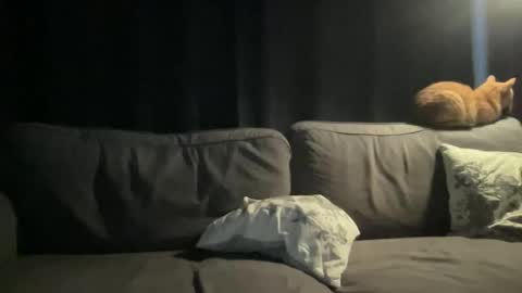 BlIdoL online show from 11-24-25, 06:46