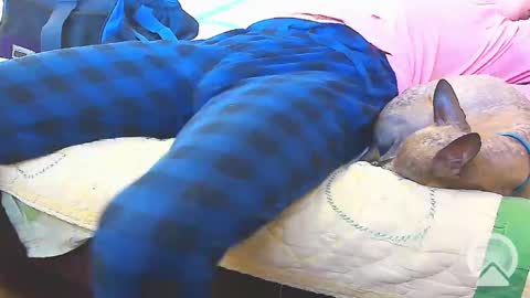 First Time College Boy online show from 02-13-25, 10:00