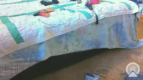 First Time College Boy online show from 02-20-25, 02:24