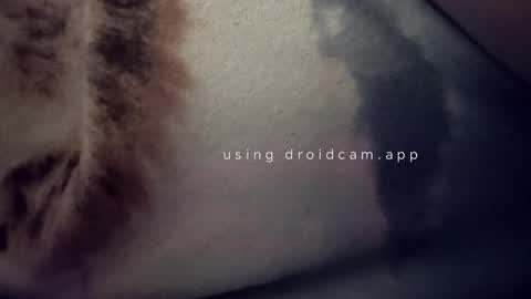 Snapshot of bluealpakka chatting on 03-15-26, 04:40 bluealpakka online show from 03-15-26, 04:40