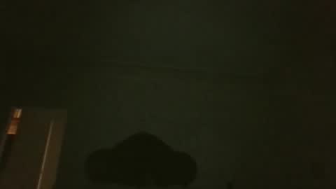 bluemoose70 online show from 04-19-26, 02:55
