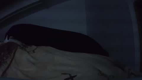 bo22222222 online show from 03-10-26, 10:48