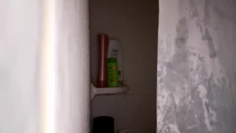 bobfish663 online show from 01-31-26, 11:03