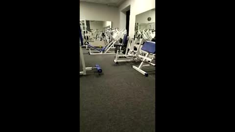 BODI online show from 04-02-26, 05:54