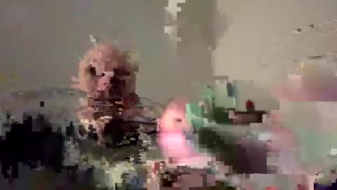 Snapshot of bodyart85_19 chatting on 12-04-24, 05:55 Bodyart85 19 online show from 12-04-24, 05:55