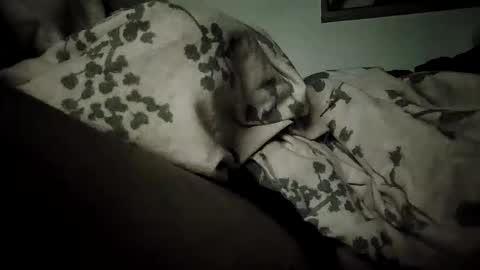 Bomberto online show from 02-19-26, 09:11