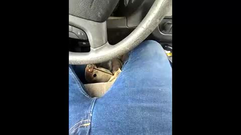 bombinshaman online show from 02-04-26, 05:19