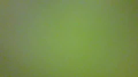 Snapshot of bonniediamond chatting on 10-30-25, 06:52 bonniediamond online show from 10-30-25, 06:52