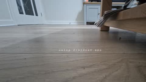 bonny8723 online show from 01-13-26, 06:57