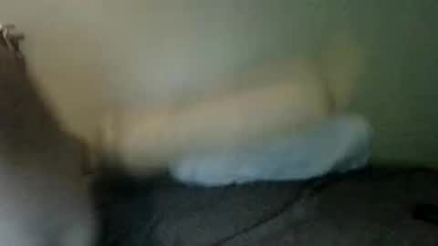 booboobumbum1 online show from 06-09-26, 07:14
