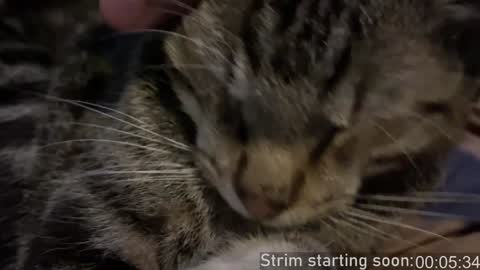 Booker Baxton online show from 12-11-24, 04:07