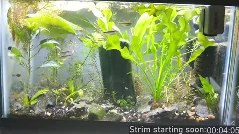 Booker Baxton online show from 12-15-24, 04:07