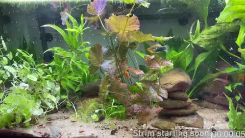 Booker Baxton online show from 02-06-25, 04:10