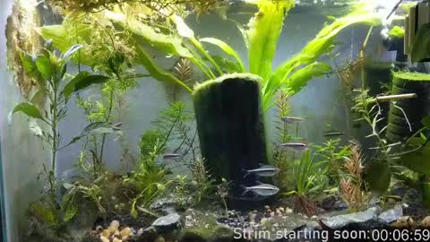 Booker Baxton online show from 02-11-25, 04:01