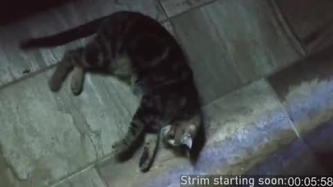 Booker Baxton online show from 02-15-25, 04:03