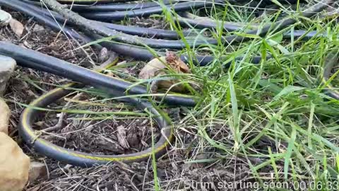 Booker Baxton online show from 03-05-25, 04:02