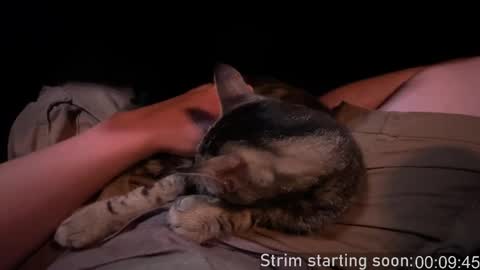 Booker Baxton online show from 09-28-25, 03:01