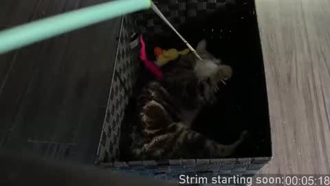 Booker Baxton online show from 10-04-25, 03:04