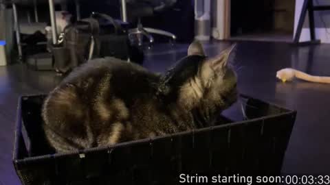 Booker Baxton online show from 10-11-25, 03:06