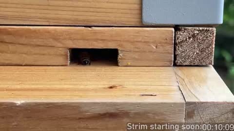 Booker Baxton online show from 10-22-25, 02:56