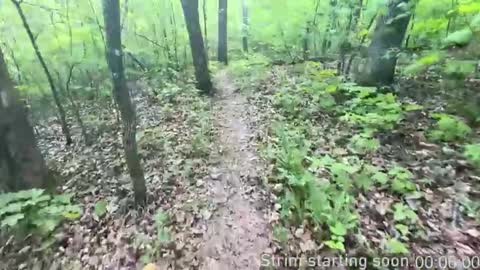 Booker Baxton online show from 11-05-25, 04:01