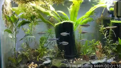 Booker Baxton online show from 12-16-25, 04:06