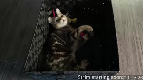 Booker Baxton online show from 01-07-26, 04:04