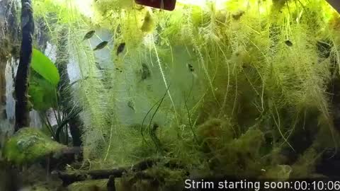 Booker Baxton online show from 03-31-26, 02:57