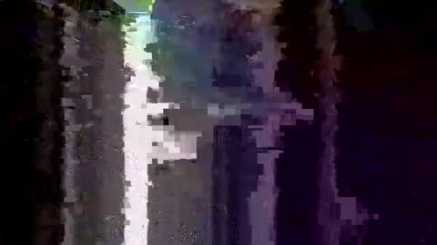 boredaf6678 online show from 12-05-25, 01:25