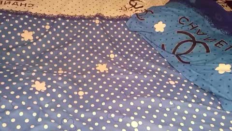 bossetassy online show from 12-16-25, 04:45