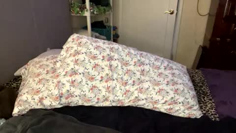 Snapshot of bossmomma chatting on 02-21-25, 05:42 BossMom online show from 02-21-25, 05:42