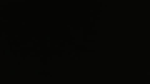 bossram160 online show from 02-05-25, 10:08