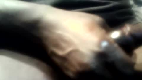 botofogo online show from 12-01-25, 05:12