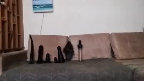 Bes7assquirt online show from 01-31-25, 07:29