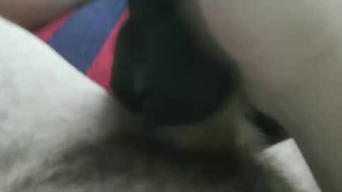 Snapshot of bpllpd chatting on 12-23-25, 12:41 bpllpd online show from 12-23-25, 12:41