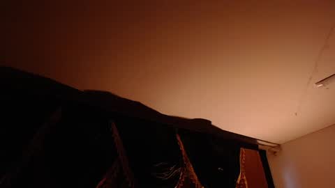 Brandy online show from 02-20-25, 10:26