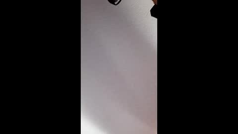 brandon281997 online show from 04-17-26, 06:44