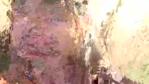 Snapshot of brandon_white_3 chatting on 01-14-25, 11:53 Brandon online show from 01-14-25, 11:53