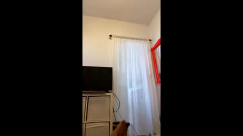 Snapshot of brazilianb0yy chatting on 09-22-25, 09:22 brazilianb0yy online show from 09-22-25, 09:22